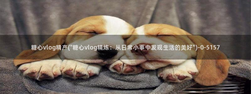 糖心出品：糖心vlog精产(\