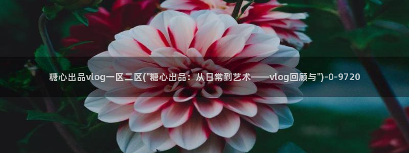糖心vlgo免费观看姐姐的朋友：糖心出品vlog一区二区(\