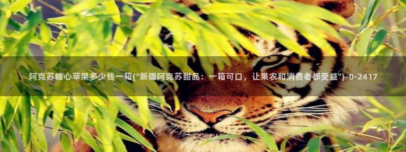 糖心vlgo国产大象传媒
