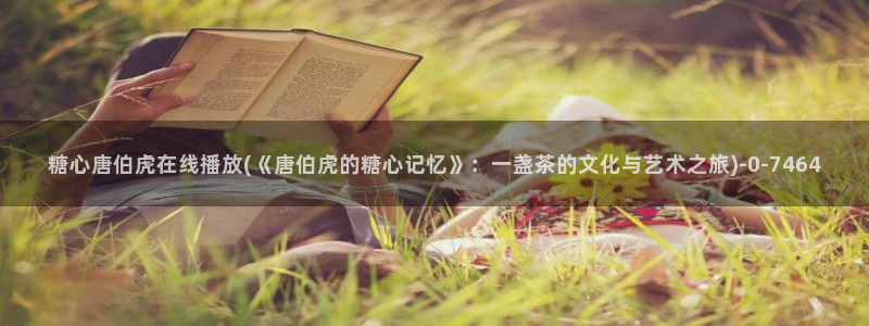 糖心velog