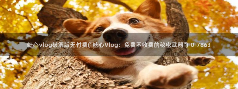糖心首页：糖心vlog破解版无付费(\